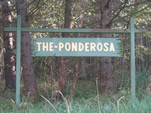Jurek Ponderosa